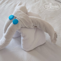 фото из отзыва ID 2684870