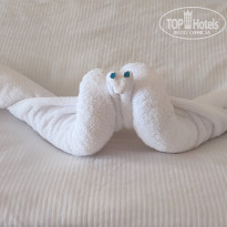 фото из отзыва ID 2684870