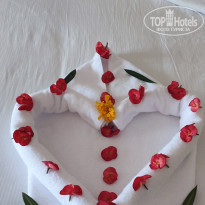 фото из отзыва ID 2684870