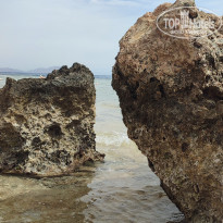 фото из отзыва ID 2684870