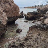 фото из отзыва ID 2684870