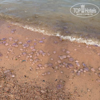 фото из отзыва ID 2685827