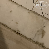 фото из отзыва ID 2685861