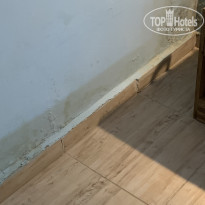 фото из отзыва ID 2685861