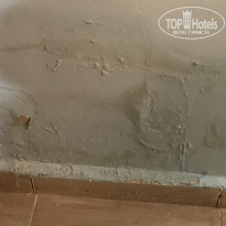 фото из отзыва ID 2685861