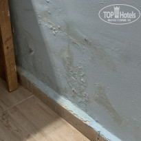 фото из отзыва ID 2685861