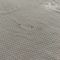 фото из отзыва ID 2685861