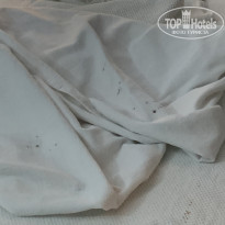 фото из отзыва ID 2685861