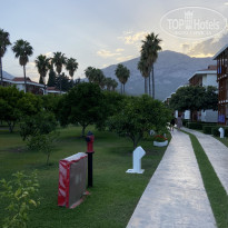 фото из отзыва ID 2685859