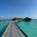 фото из отзыва ID 2685880