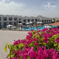 фото из отзыва ID 2685941