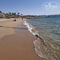 фото из отзыва ID 2685941