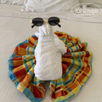 фото из отзыва ID 2686022