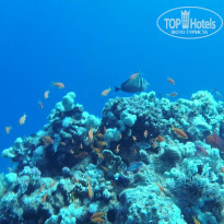 фото из отзыва ID 2683355