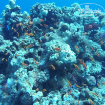 фото из отзыва ID 2683355