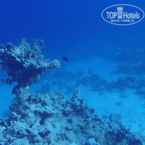 фото из отзыва ID 2683355