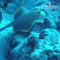 фото из отзыва ID 2683355