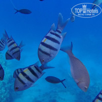 фото из отзыва ID 2683355