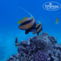 фото из отзыва ID 2683355