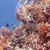 фото из отзыва ID 2683355