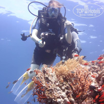 фото из отзыва ID 2683355