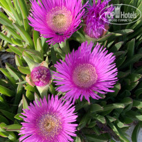 фото из отзыва ID 2686048