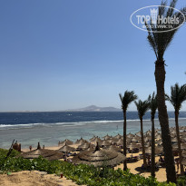 фото из отзыва ID 2686046