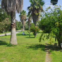 фото из отзыва ID 2686078