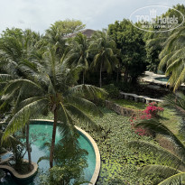 фото из отзыва ID 2686086