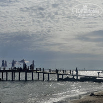 фото из отзыва ID 2686090