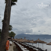 фото из отзыва ID 2686098