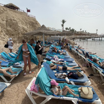 фото из отзыва ID 2686129