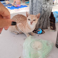 фото из отзыва ID 2685647