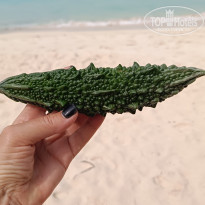 фото из отзыва ID 2685647