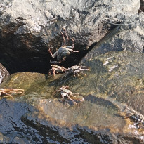 фото из отзыва ID 2685647