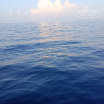 фото из отзыва ID 2685647