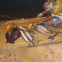 фото из отзыва ID 2685647