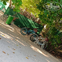 фото из отзыва ID 2685647