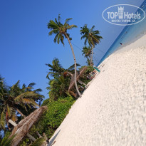 фото из отзыва ID 2685647