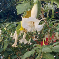 фото из отзыва ID 2686194