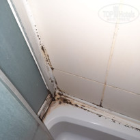 фото из отзыва ID 2686245