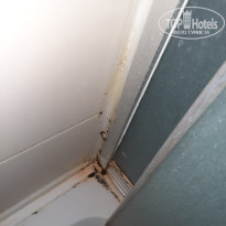 фото из отзыва ID 2686245