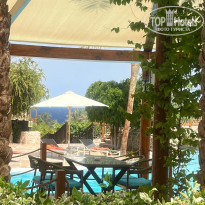 фото из отзыва ID 2686251