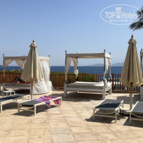 фото из отзыва ID 2686251