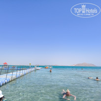 фото из отзыва ID 2686265