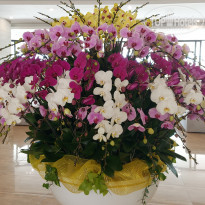фото из отзыва ID 2686267