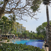 фото из отзыва ID 2686295