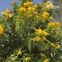 фото из отзыва ID 2686322