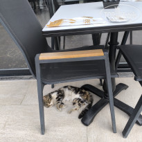 фото из отзыва ID 2686339