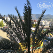 фото из отзыва ID 2686339